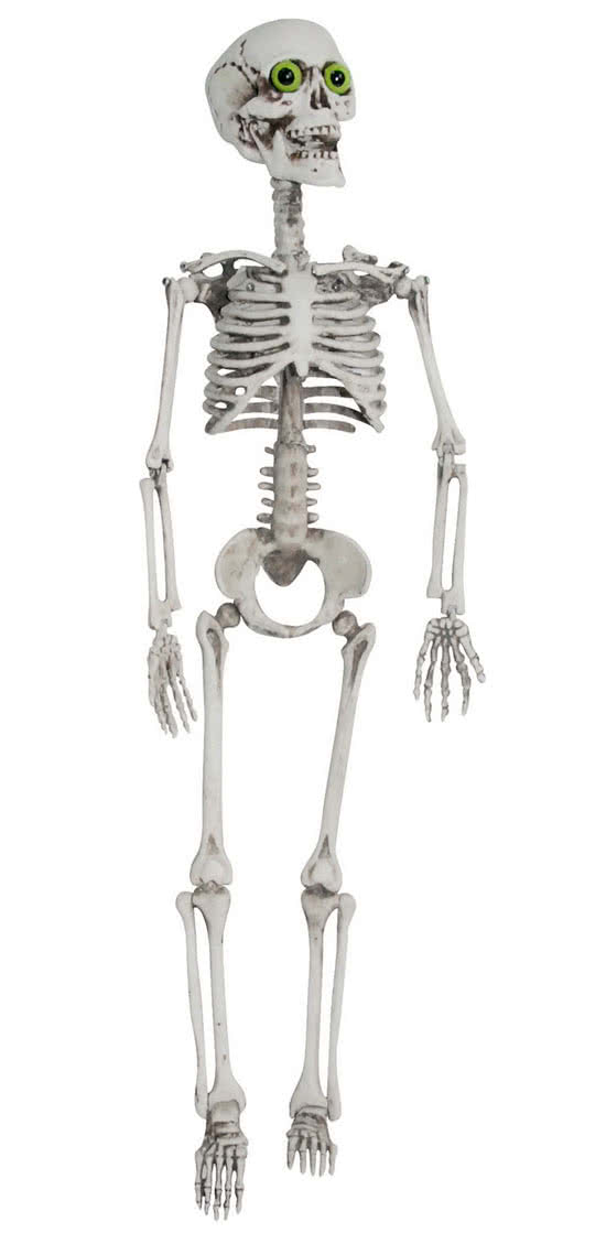 Skeleton with Green Eyes Skeleton hanging prop Halloween skeleton
