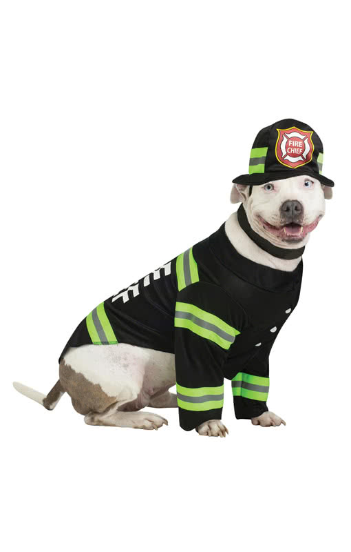 Fireman Dog Costume Crazy Dog Costume for Halloween