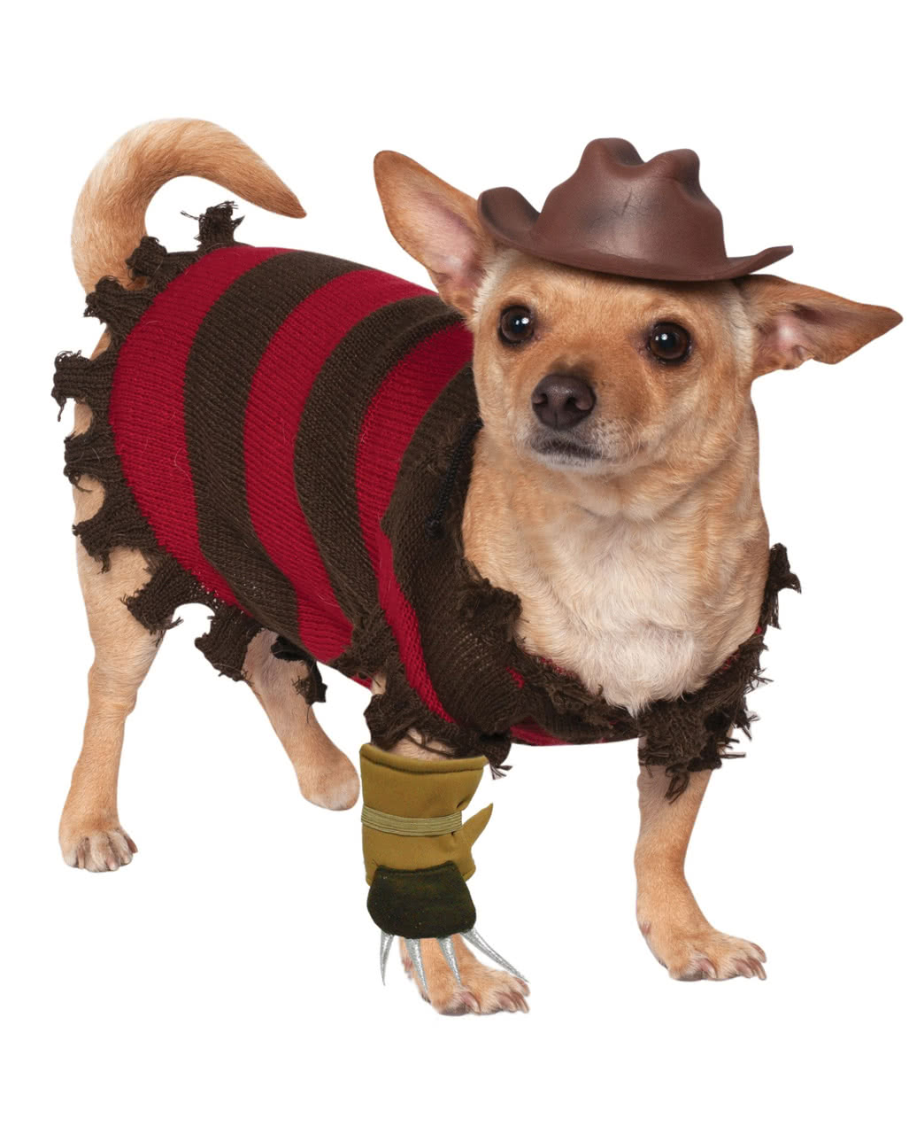 Freddy Krueger Hundekostüm für Halloween