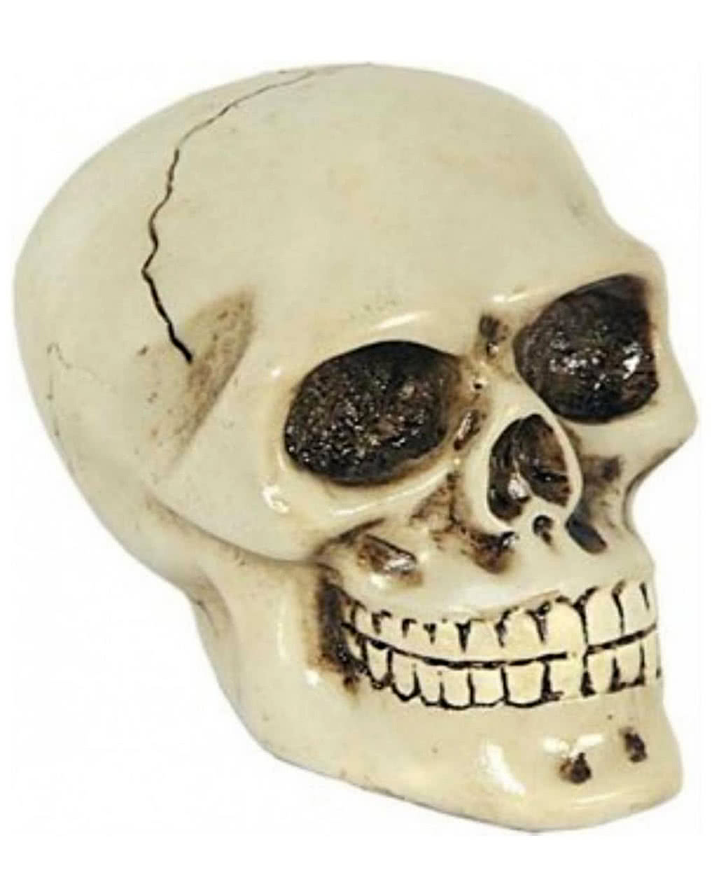 Shift Knob Skull ▻ Dead skull Autoknauf
