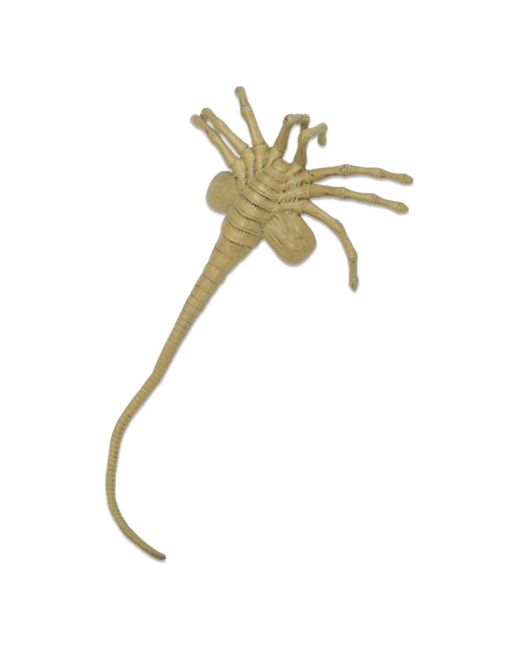 Alien Facehugger Collector Figure Licensed articles from alien