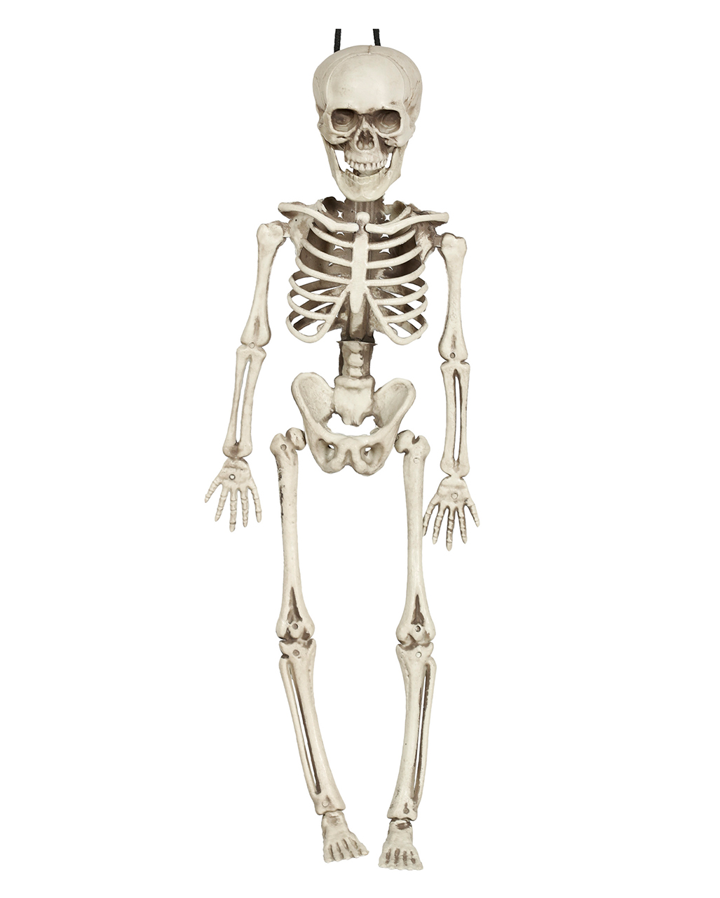 Halloween Dekoration Skelett Grusel Fasching Deko Karneval horror Aufhängen