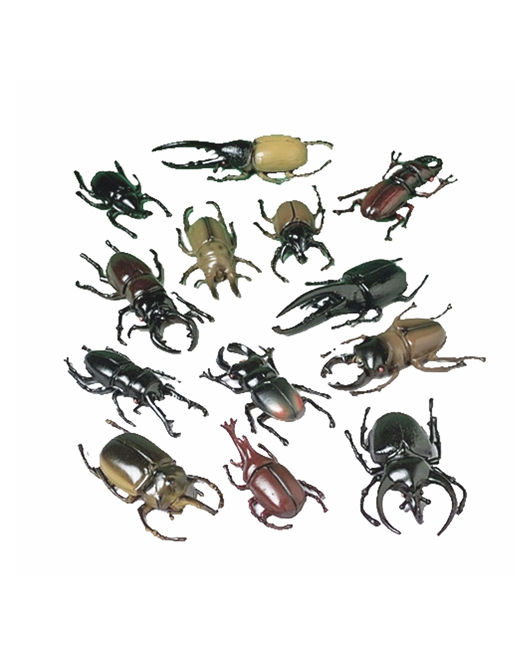 monster beetle bug