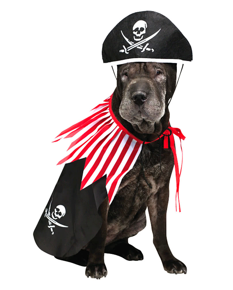 Piraten Hundekostüm Piraten Verkleidung für Hunde