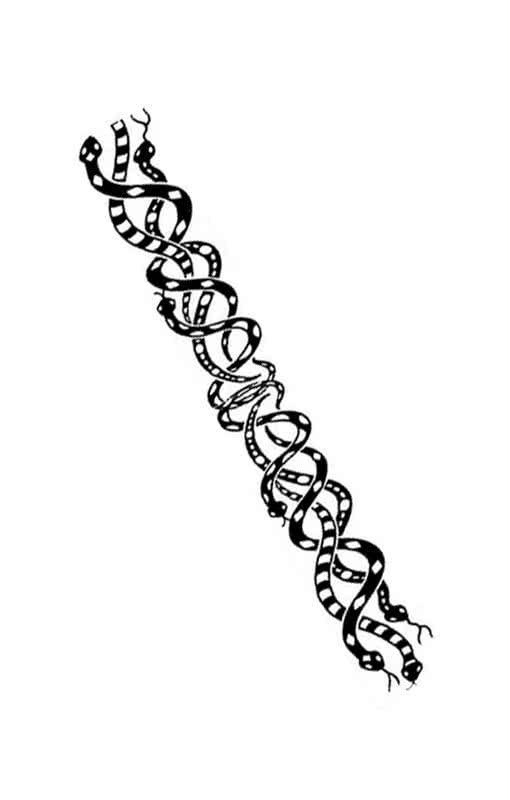 Snake Tattoo As Adhesive Tattoo Horror Shop Com