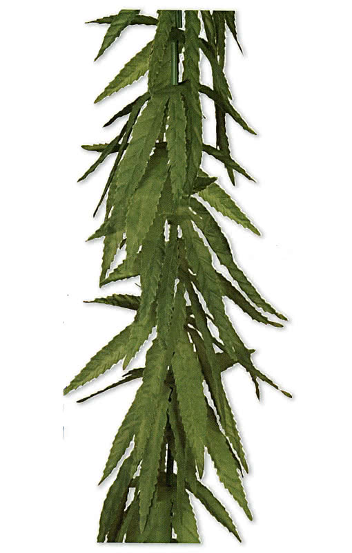 Seaweed garland Flower necklace hawaii garland party decoration