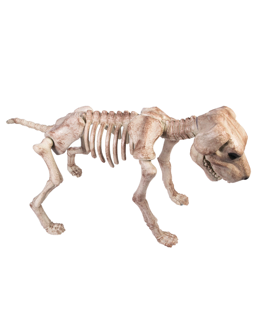 Skeleton Dog Decoration for Halloween order 🎃 