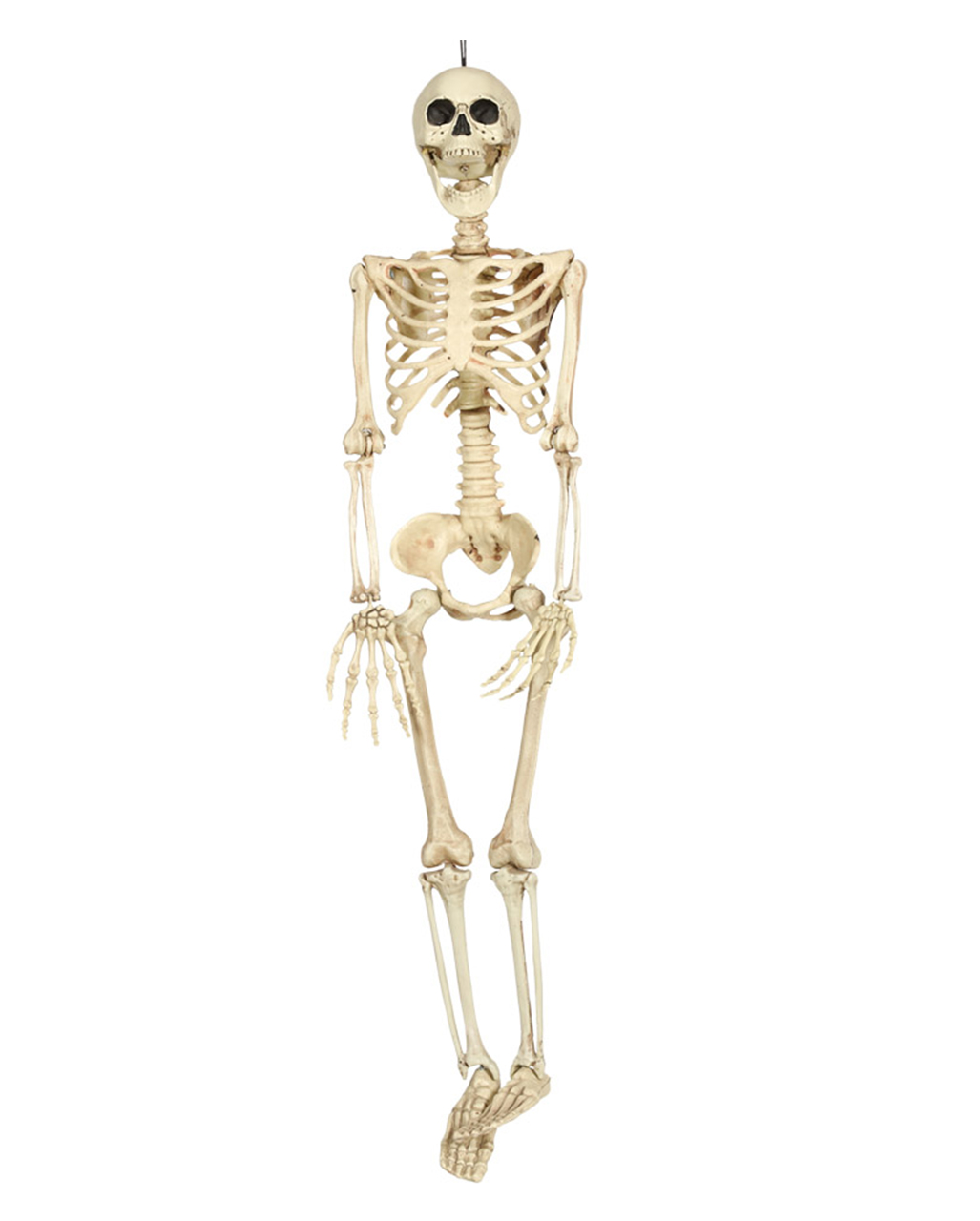 Hanging Skeleton Torso Decoration Adult Halloween 