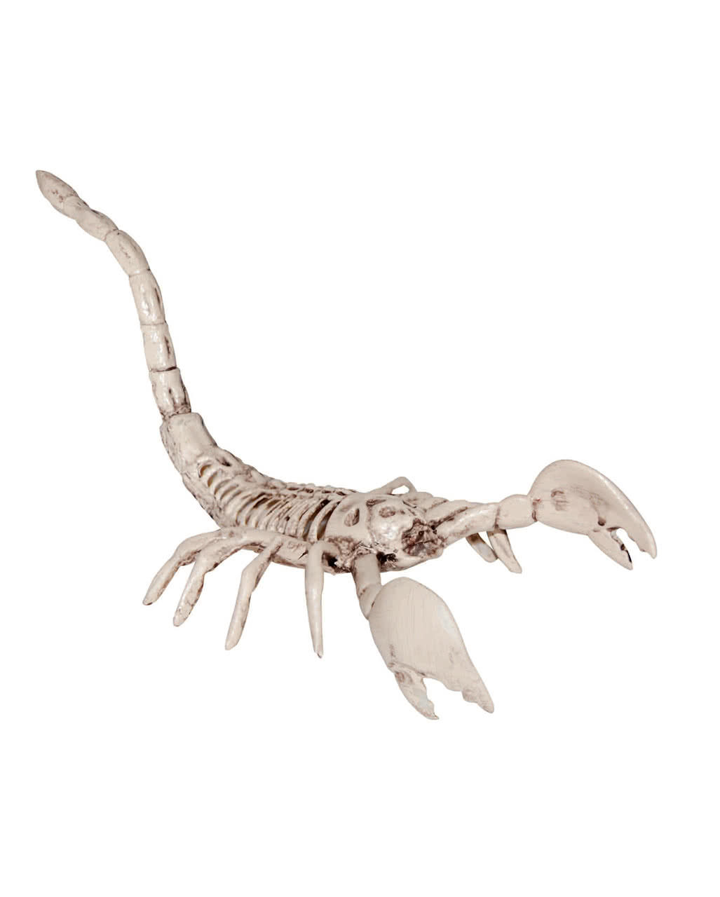 Scorpion skeleton Halloween decoration | horror-shop.com