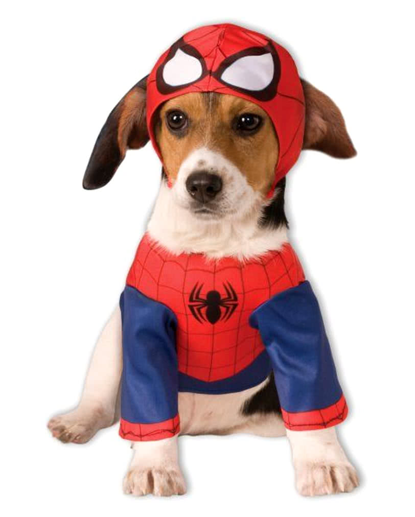 Spider-Man Dog Costume | Comic costumes for dogs 