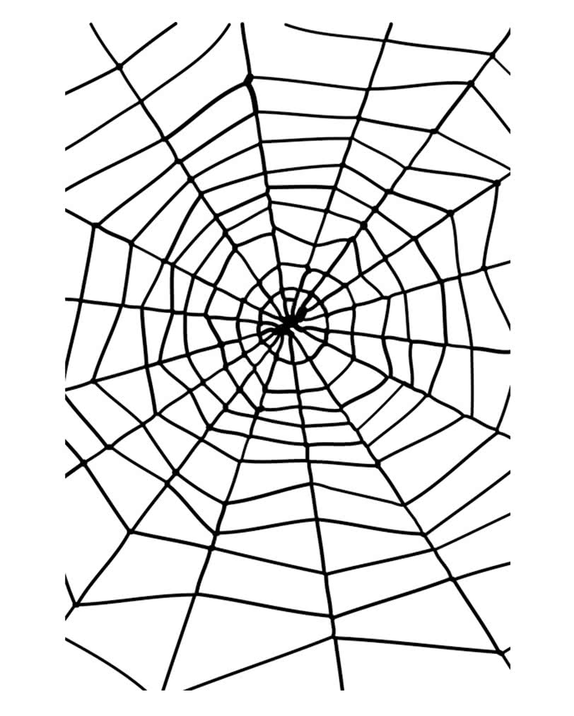 HALLOWEEN Fensterdeko "Spinnennetz" Deko Netz weiß 