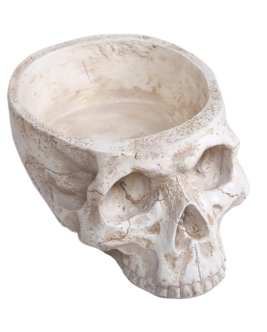 Skull Bowl 28cm buy as a present 