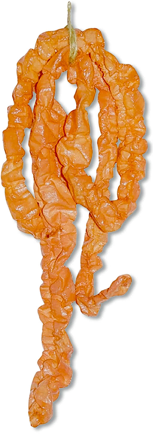 DriedOut Fake Intestines Zombie SuppliesFake Body Parts horror