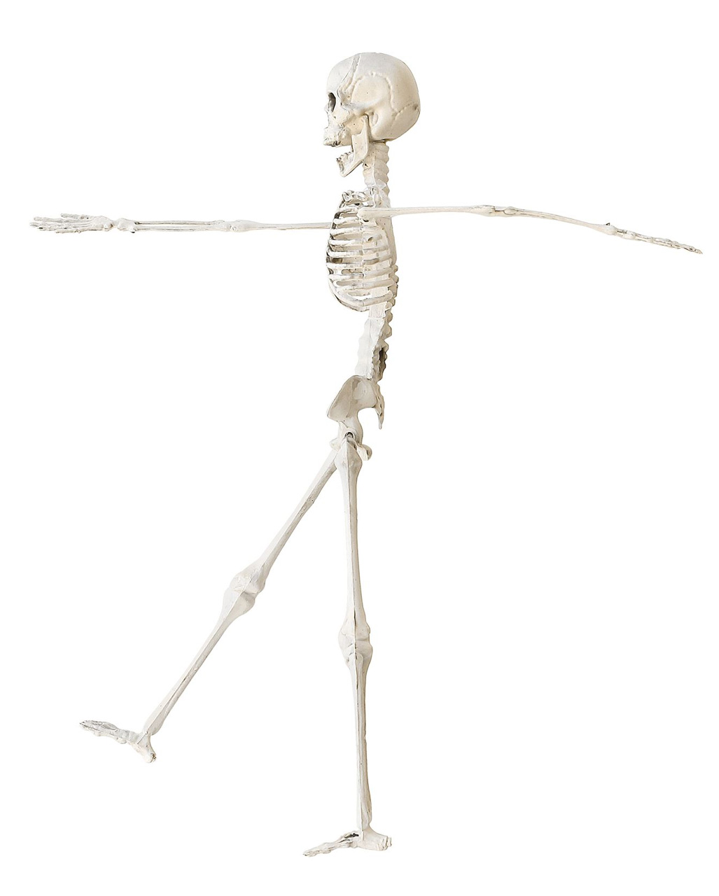 40 cm NEU Deko-Skelett El Flaco hängend Halloween Dekoration 
