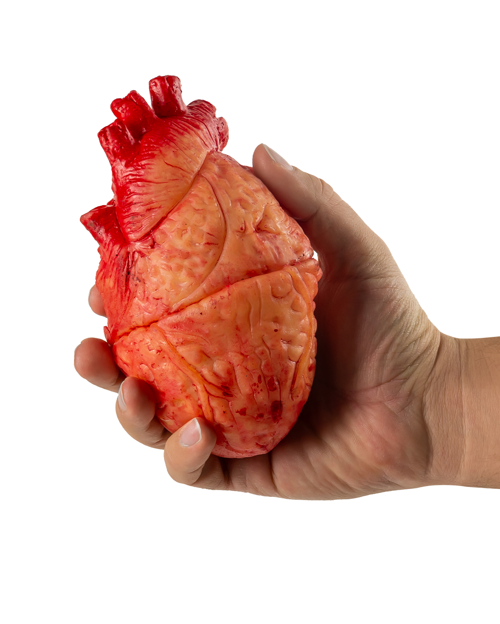 Bloody Heart Giblets Halloween decoration