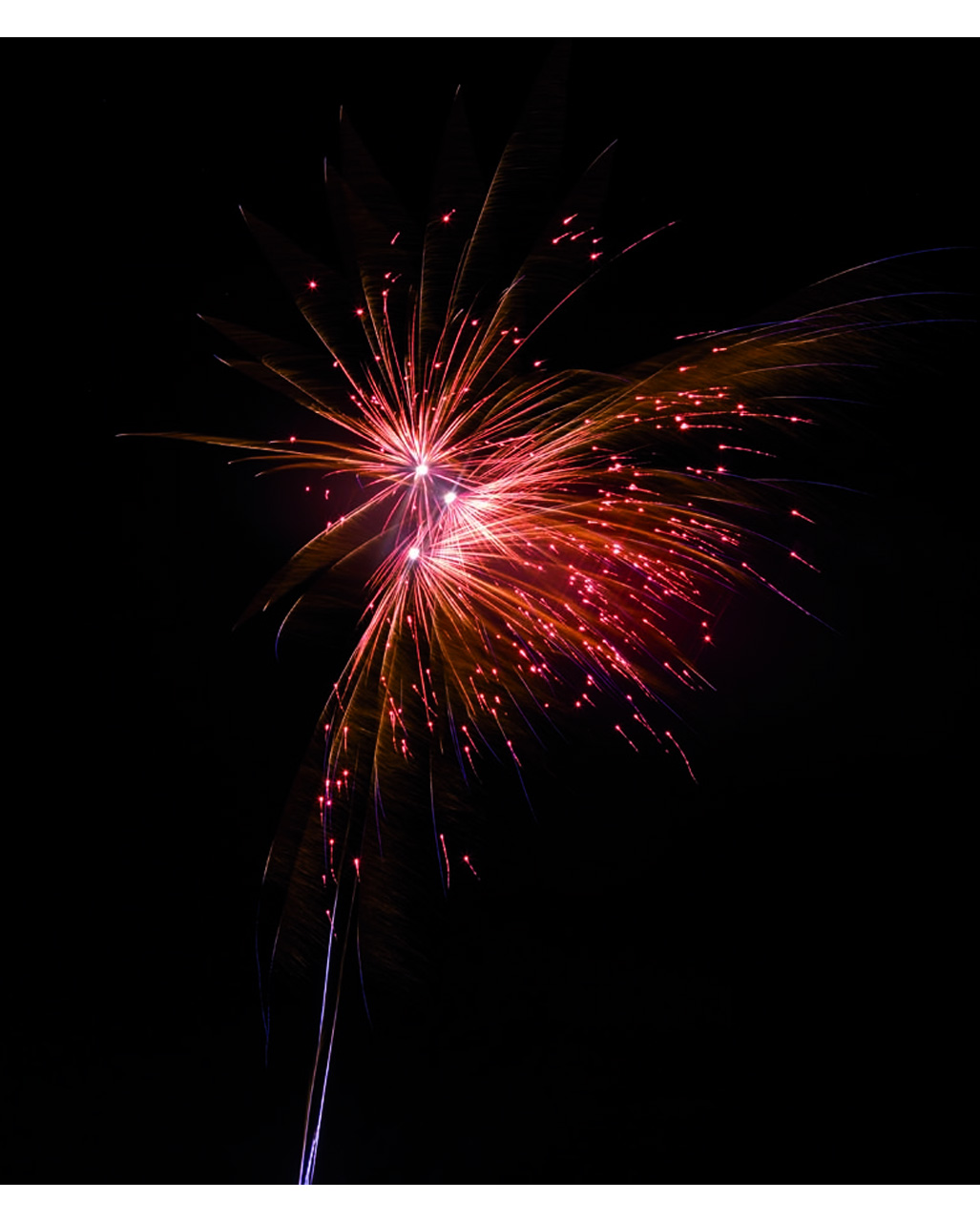 Golden Rose 13 Shots Battery Fireworks New Year's Eve fireworks