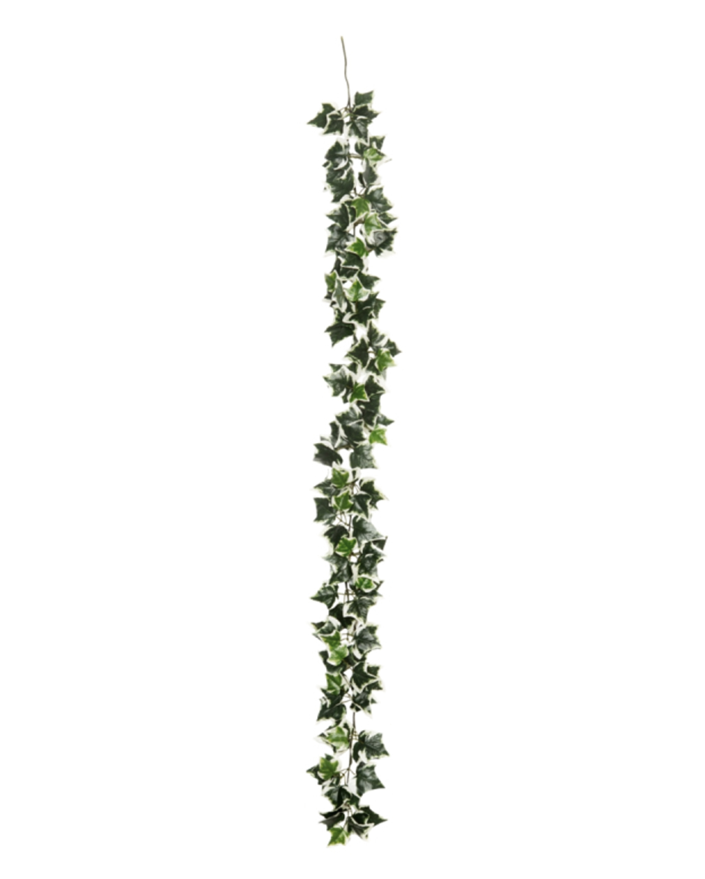 Mehrfarbige Efeugirlande 180cm fr  kaufen | Horror-Shop.com