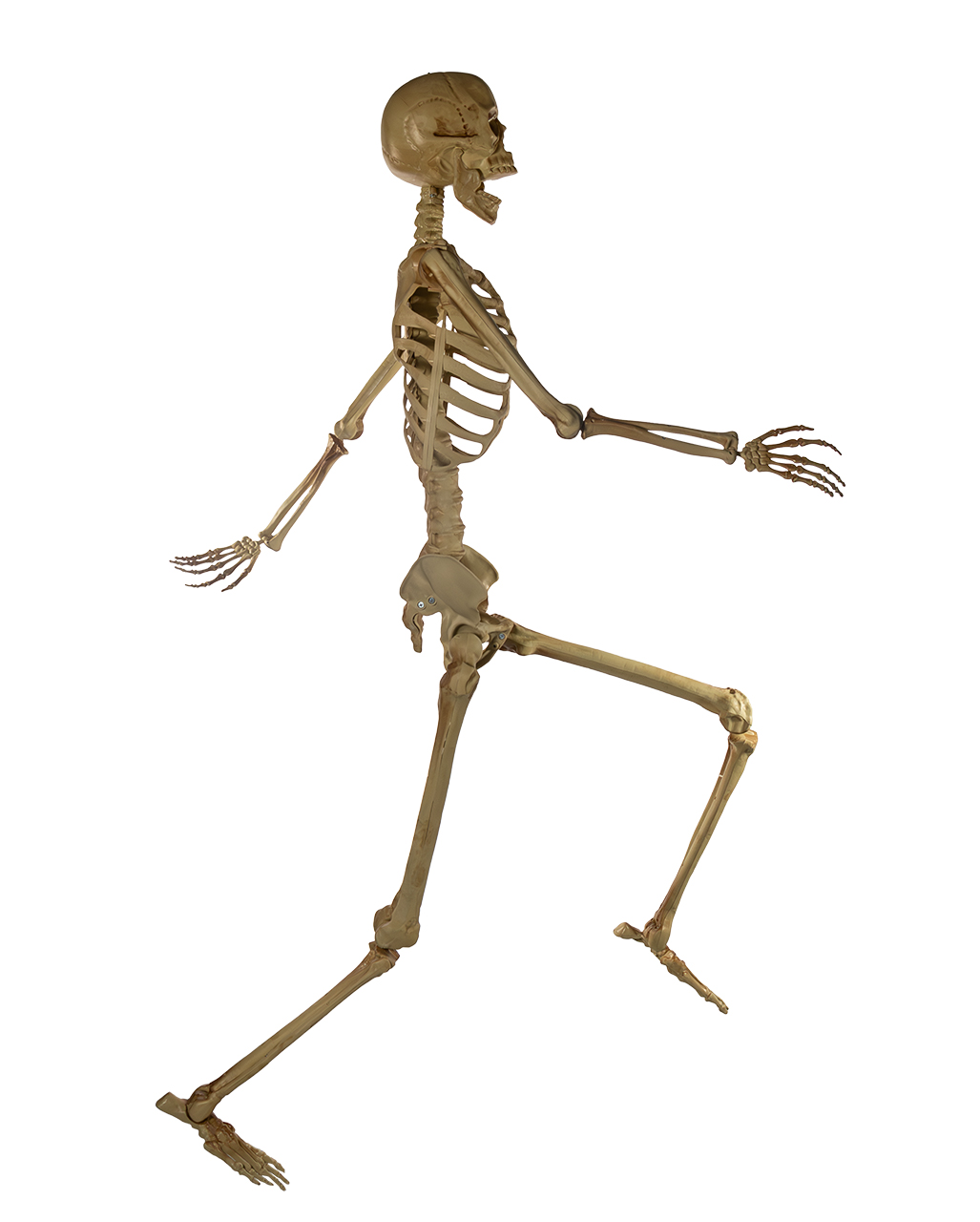 positionable-skeleton-with-glowing-red-eyes-165cm-horror-shop