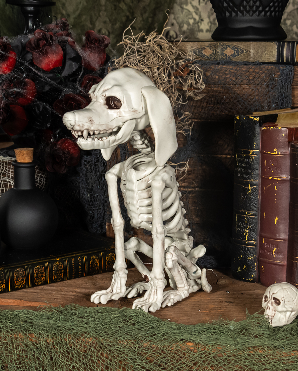 Halloween skeleton talking hotsell poodle dog