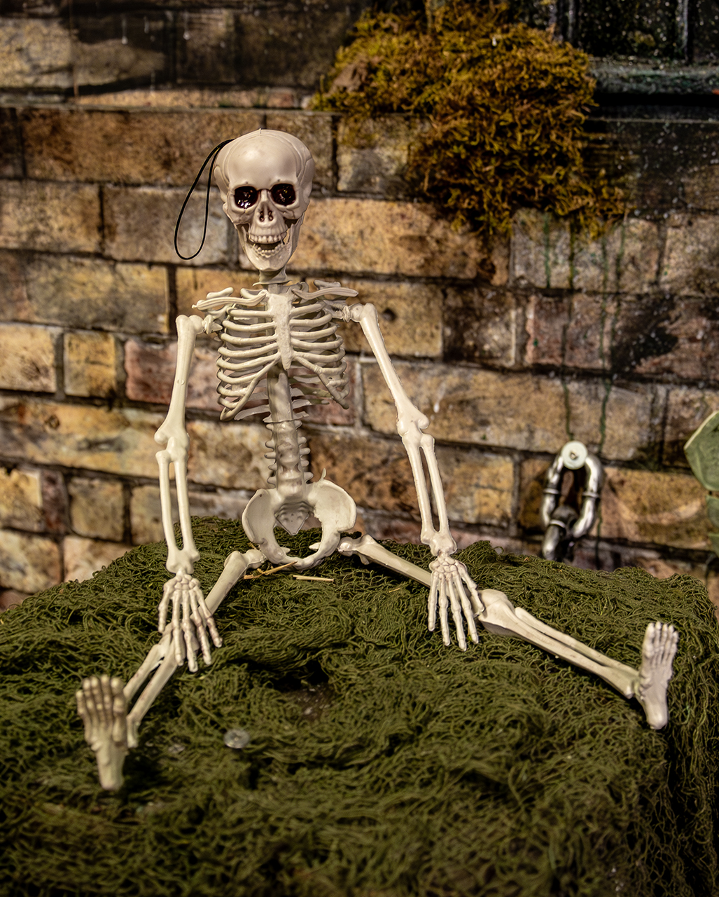 https://inst-2.cdn.shockers.de/hs_cdn/out/pictures/master/product/4/bewegliches-halloween-skelett-possable-halloween-skeleton-kunststoff-skelett-40cm-37967-03.jpg