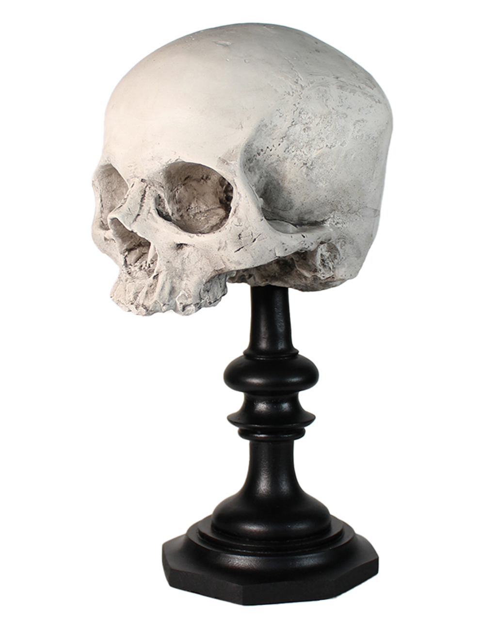 J. DOE Skull On Base 20cm order online 💀 | Horror-Shop.com